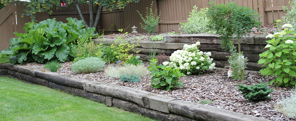 Flower Bed Maintenance